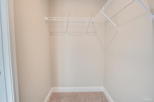 walk in closet featuring carpet