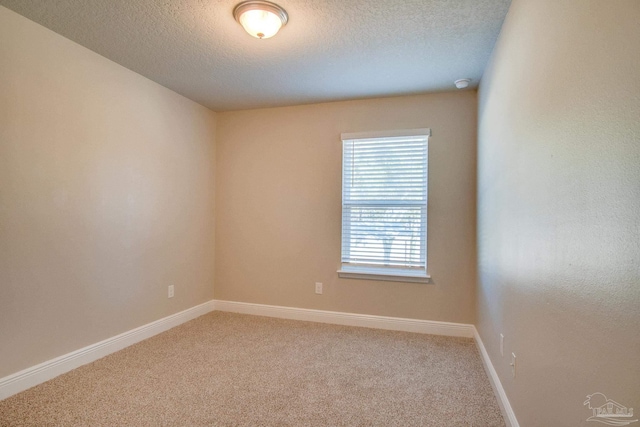 unfurnished room with carpet floors and a textured ceiling