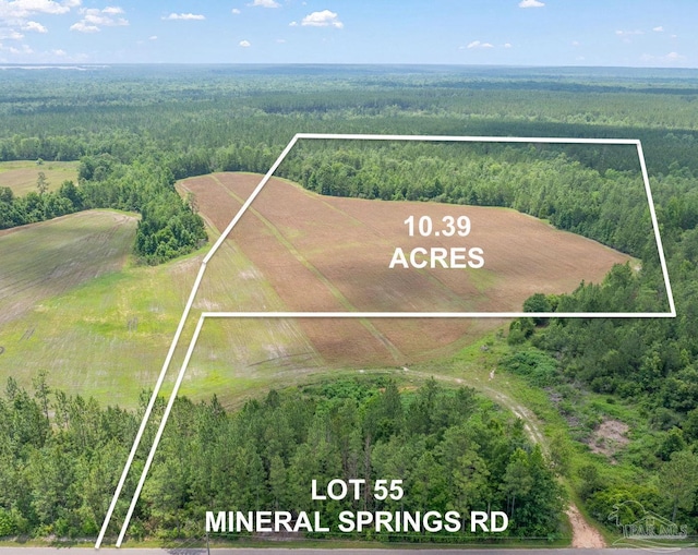 LOT55 Mineral Springs Rd, Jay, FL 32565