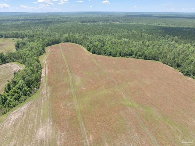 LOT55 Mineral Springs Rd, Jay, FL 32565