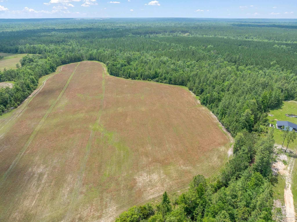 LOT55 Mineral Springs Rd, Jay, FL 32565