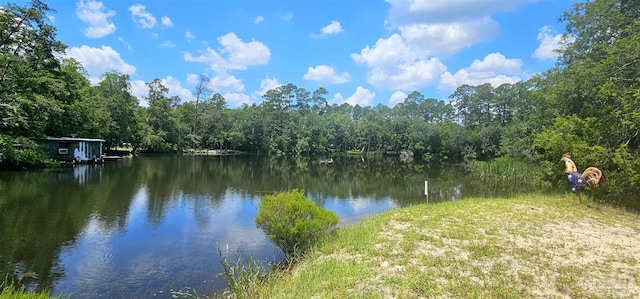 view of water feature with a forest view