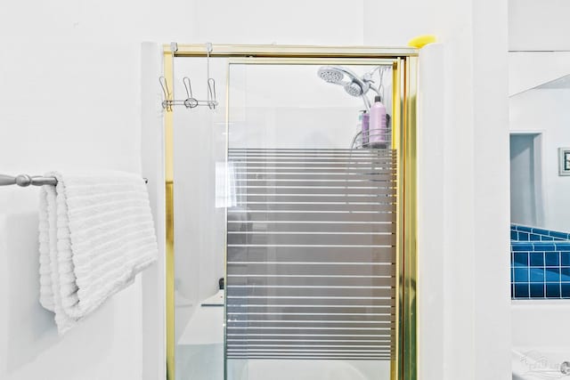 interior details featuring a shower with shower door