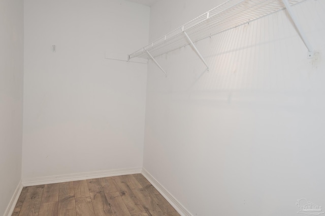 spacious closet featuring hardwood / wood-style floors