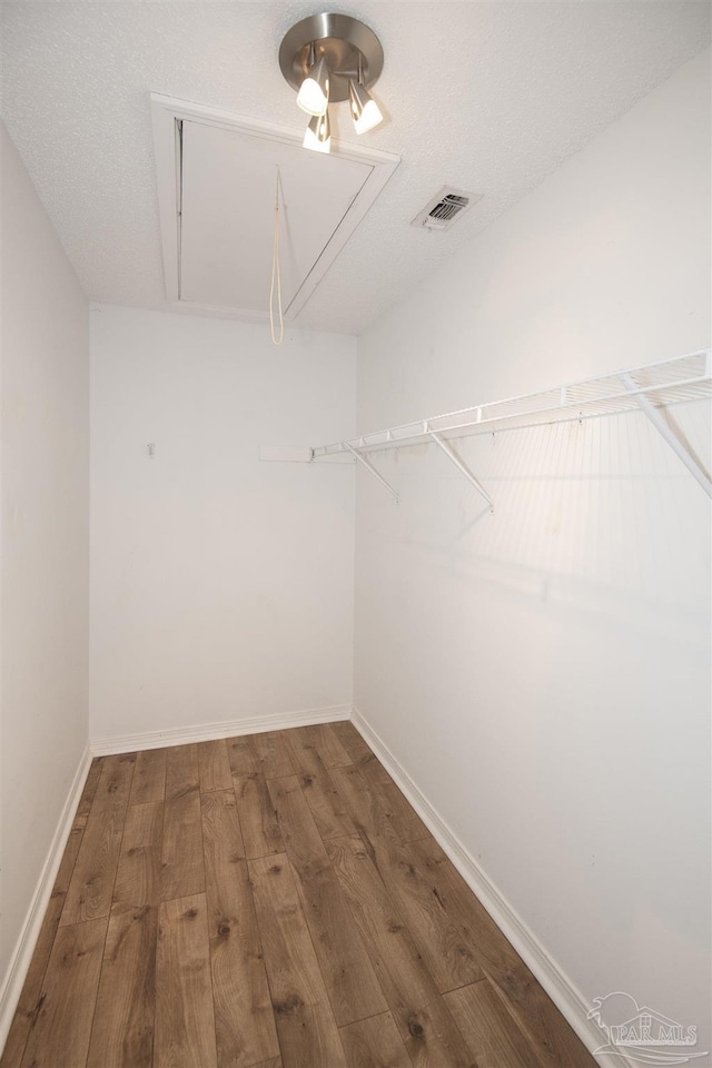 walk in closet featuring wood-type flooring