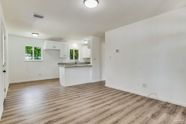 unfurnished living room featuring light hardwood / wood-style floors and sink