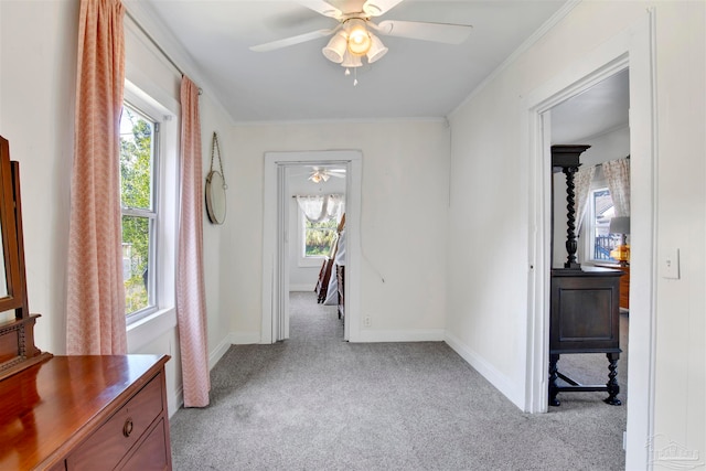 hallway with light carpet and plenty of natural light