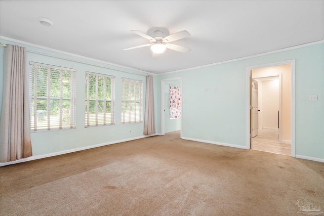 spare room featuring light carpet, ceiling fan, and ornamental molding