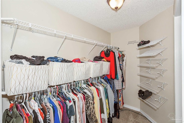 spacious closet featuring carpet floors