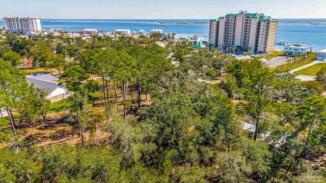 birds eye view of property featuring a water view and a view of city