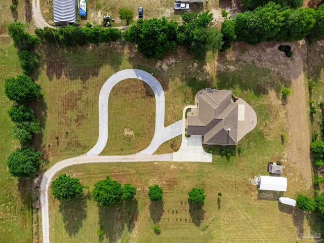 bird's eye view