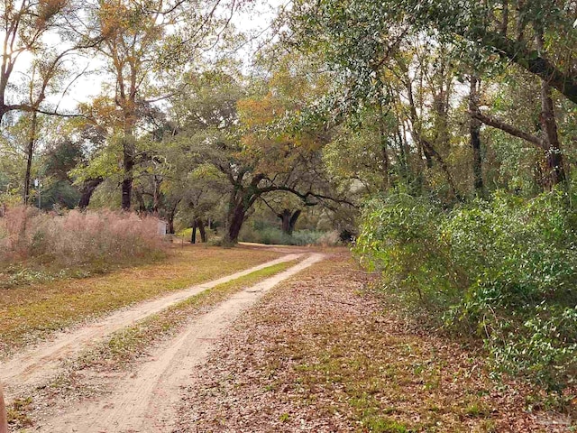 view of road