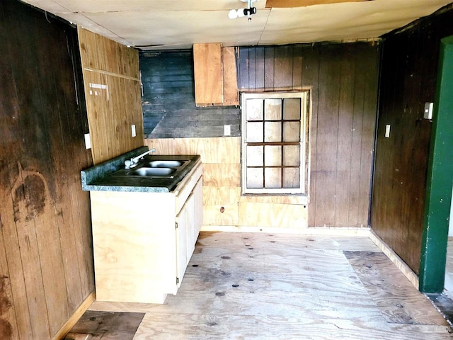 kitchen featuring wood walls and a sink