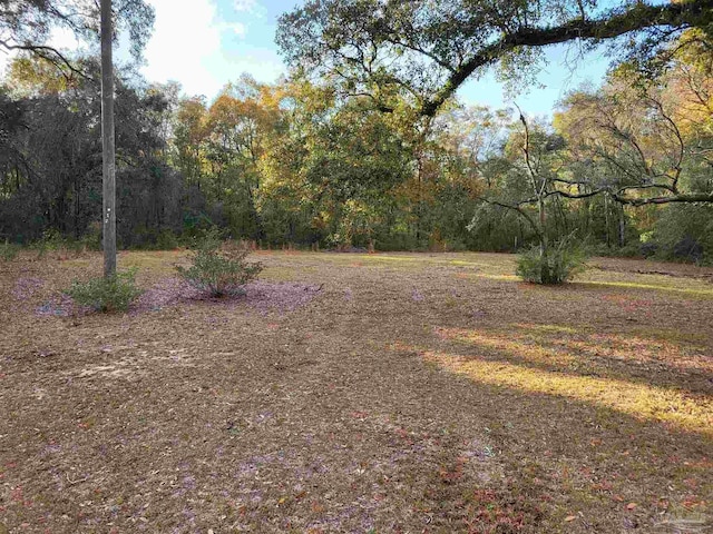 view of yard with a view of trees