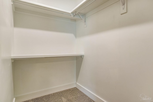 walk in closet featuring carpet floors