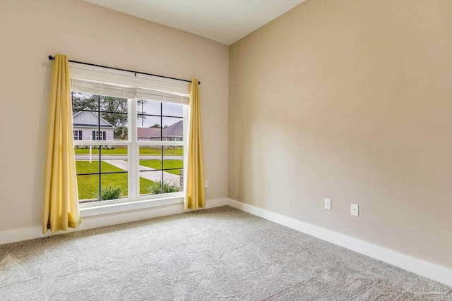 spare room featuring a wealth of natural light and carpet flooring