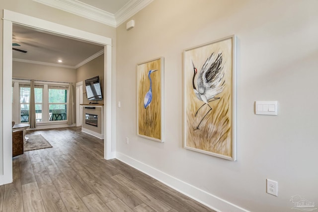 hall featuring hardwood / wood-style flooring and crown molding