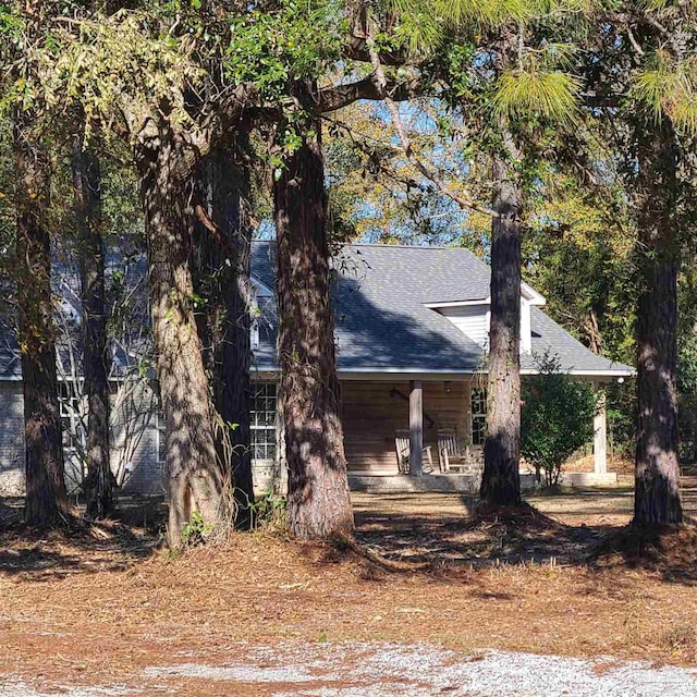 view of front of house featuring covered porch and roof with shingles