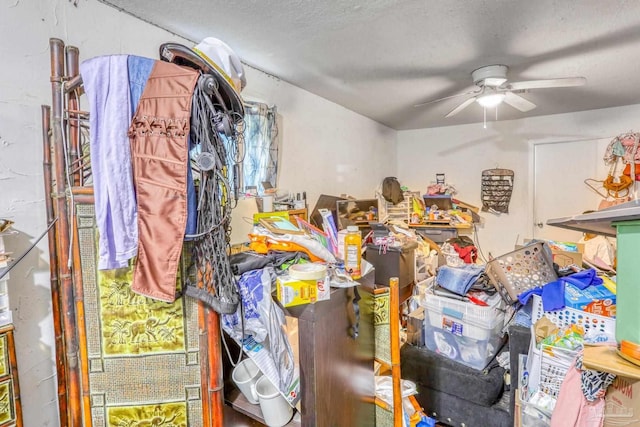 storage room featuring ceiling fan