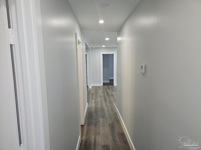 corridor featuring dark hardwood / wood-style flooring