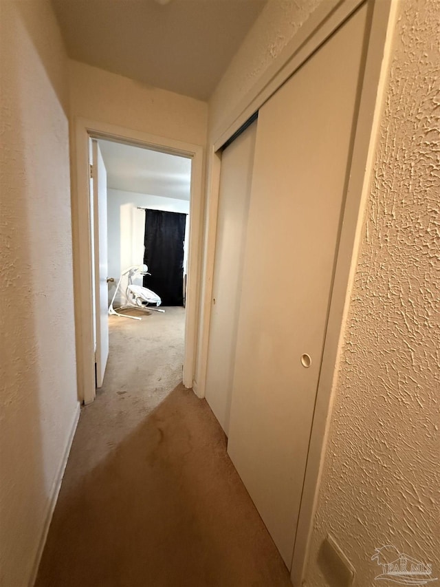 5325 Bob Sikes Blvd, Jay, FL 32565 - corridor with carpet flooring and a textured wall