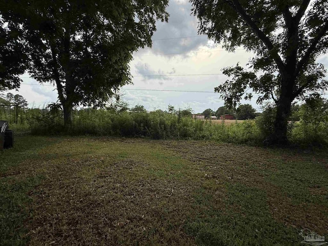 5325 Bob Sikes Blvd, Jay, FL 32565 - view of yard