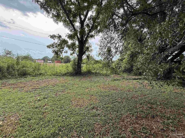 5325 Bob Sikes Blvd, Jay, FL 32565 - view of yard