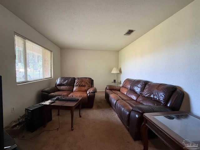 5325 Bob Sikes Blvd, Jay, FL 32565 - living area featuring carpet floors and a textured ceiling