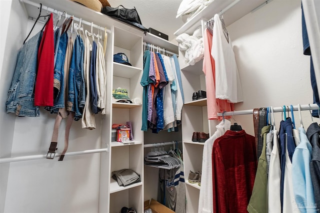 view of spacious closet