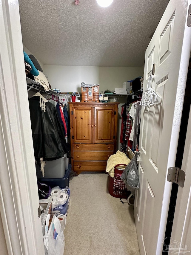 walk in closet featuring carpet flooring