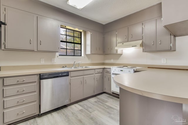 kitchen with under cabinet range hood, dishwasher, light wood-style floors, electric range, and a sink