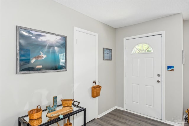 foyer entrance with a textured ceiling and dark wood-type flooring