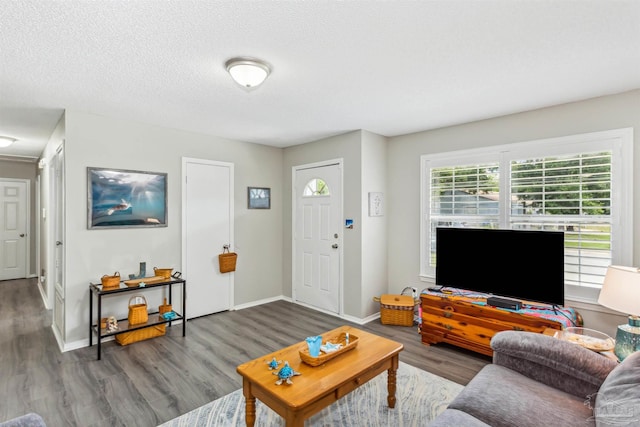 living room featuring hardwood / wood-style floors and a textured ceiling