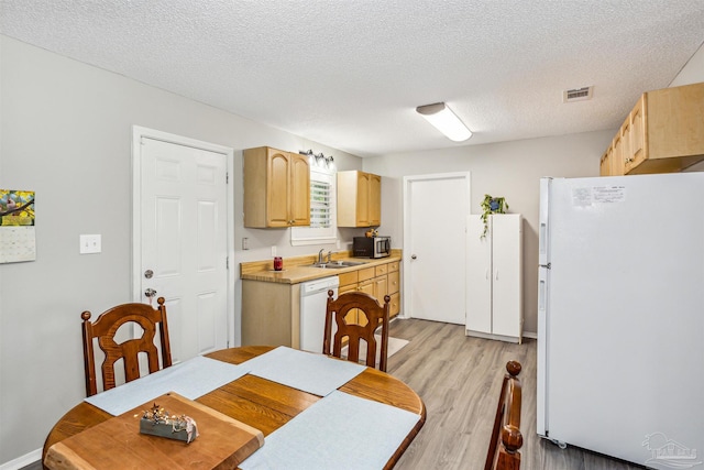 dining room with sink, light hardwood / wood-style floors, and a textured ceiling