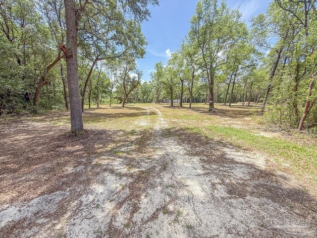4020 Easy St, Holt, FL 32564