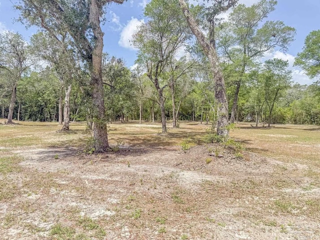 4020 Easy St, Holt, FL 32564
