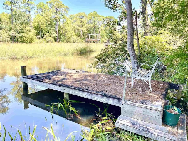 dock area with a water view