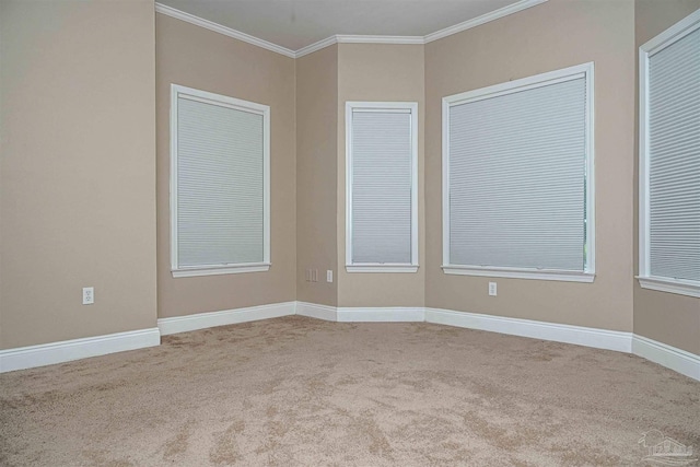 spare room with crown molding and light colored carpet