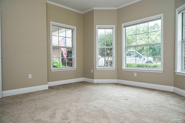 spare room featuring crown molding, carpet, and a wealth of natural light