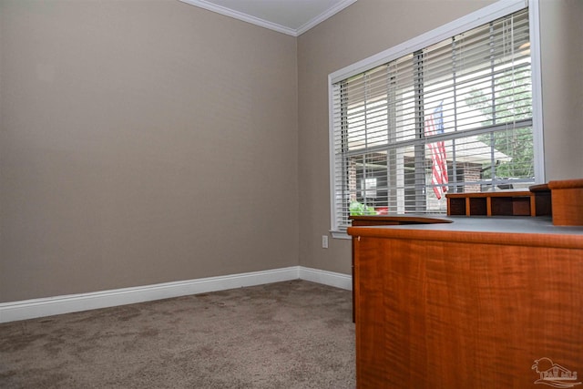 interior space featuring carpet floors and crown molding