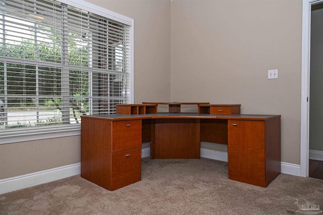 office area with light carpet