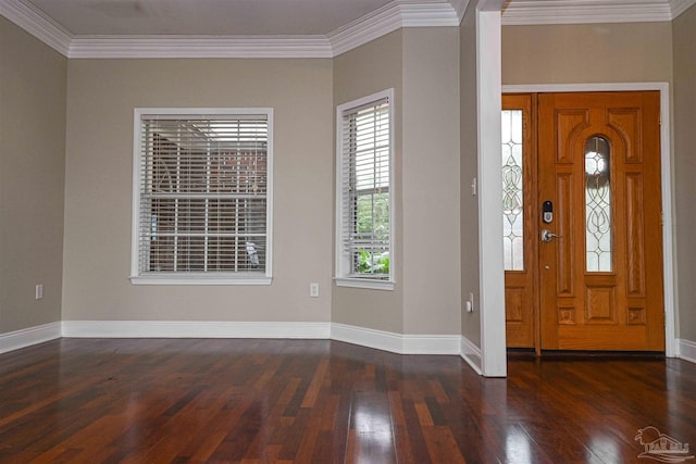 entryway featuring dark hardwood / wood-style floors and ornamental molding