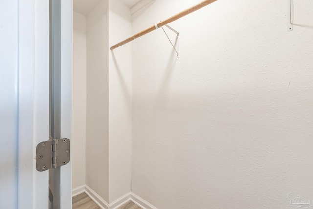 spacious closet with light wood-type flooring