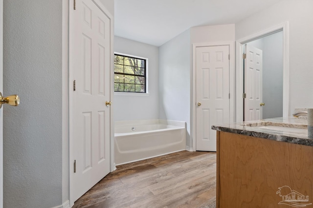 bathroom with wood finished floors, vanity, and a bath
