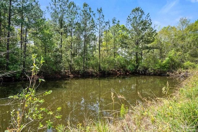 view of local wilderness with a water view and a view of trees