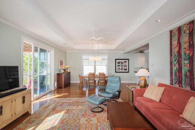 living room featuring a raised ceiling, ceiling fan, light wood-type flooring, and a wealth of natural light