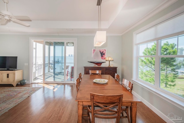 dining room with ceiling fan, ornamental molding, a wealth of natural light, and hardwood / wood-style floors