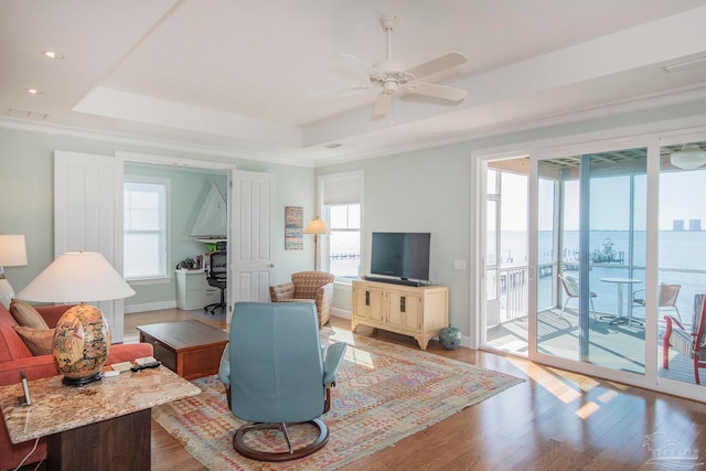 living room featuring light hardwood / wood-style floors, a tray ceiling, and a wealth of natural light