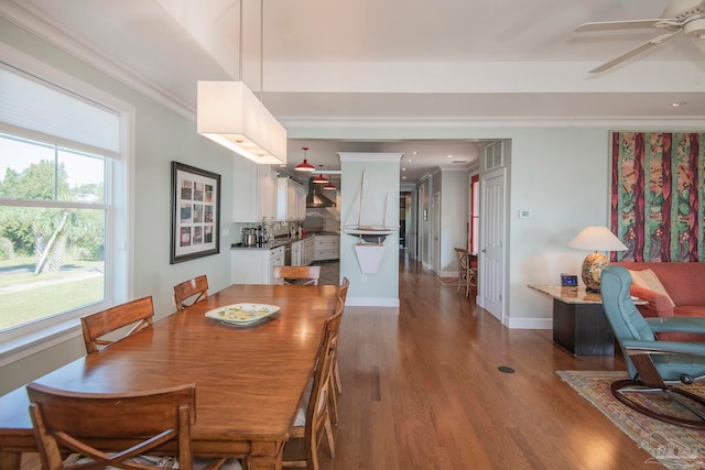 dining room with ornamental molding, hardwood / wood-style floors, and ceiling fan