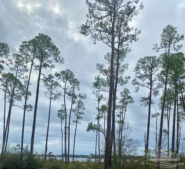 Listing photo 2 for PARCEL14 Santa Clara Dr, Navarre FL 32566